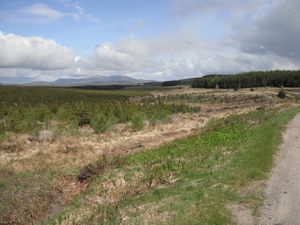 Yhe Flow Country, nine miles north of Lairg