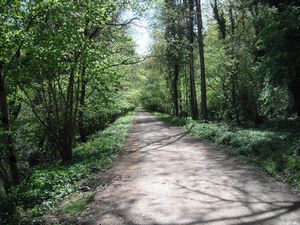 Cycle path to Symonds Yat