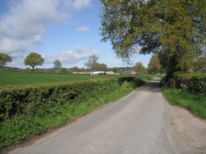 approaching Lucton