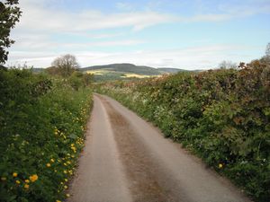 One mile past Leintwardine