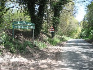 Entering Delamere Forest